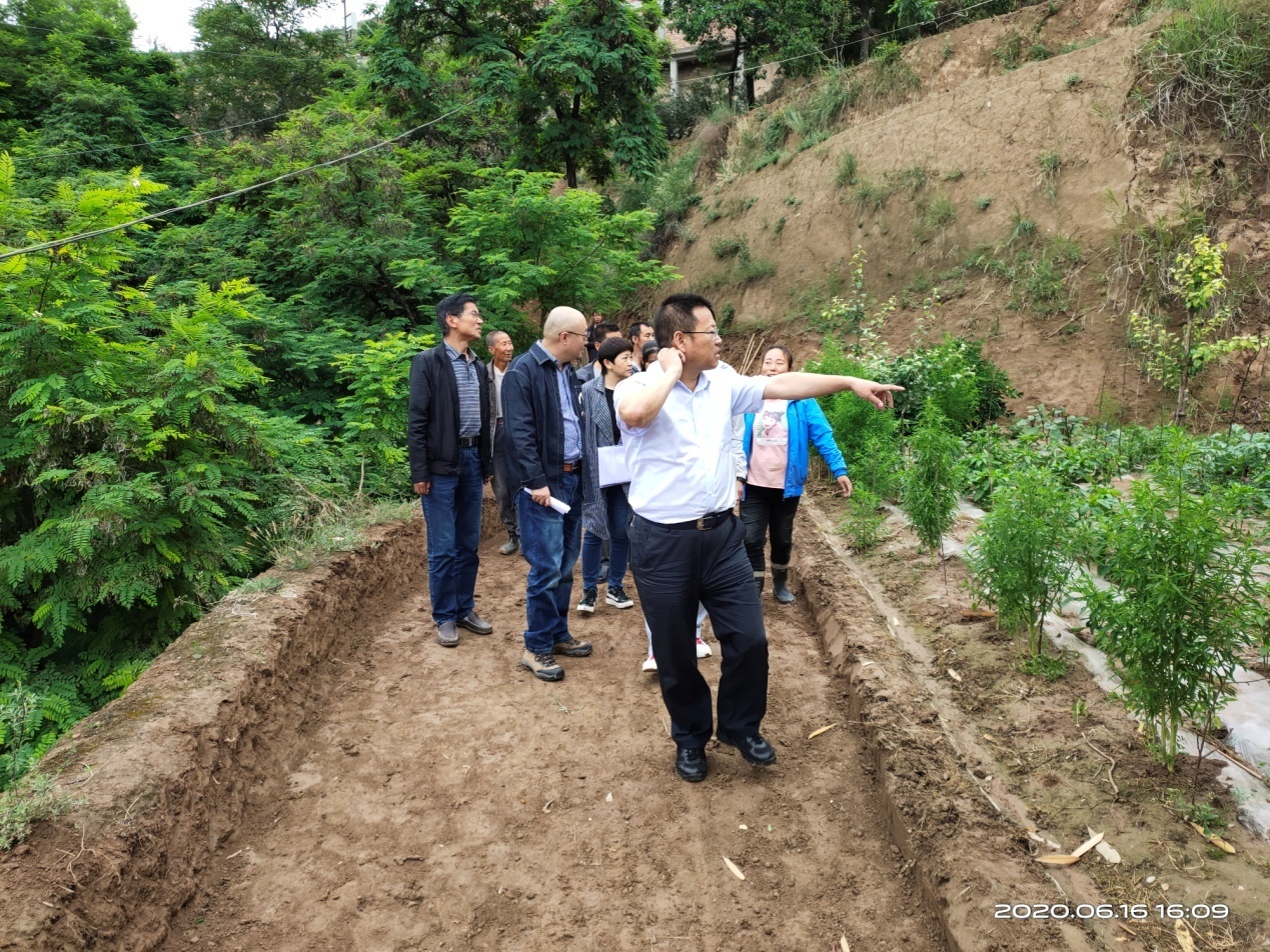 1592550265460057142.jpg 圖片4.jpg